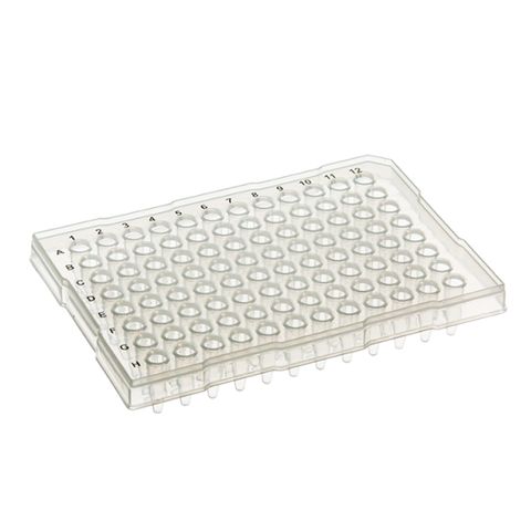 3425