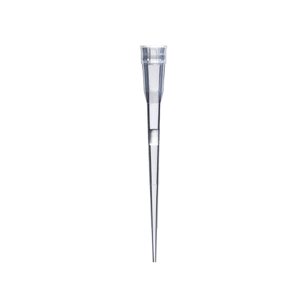 4137NSF