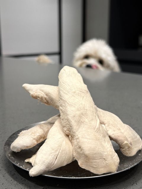 LINE_ALBUM_南瓜_260629_14