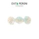 Sea Shell