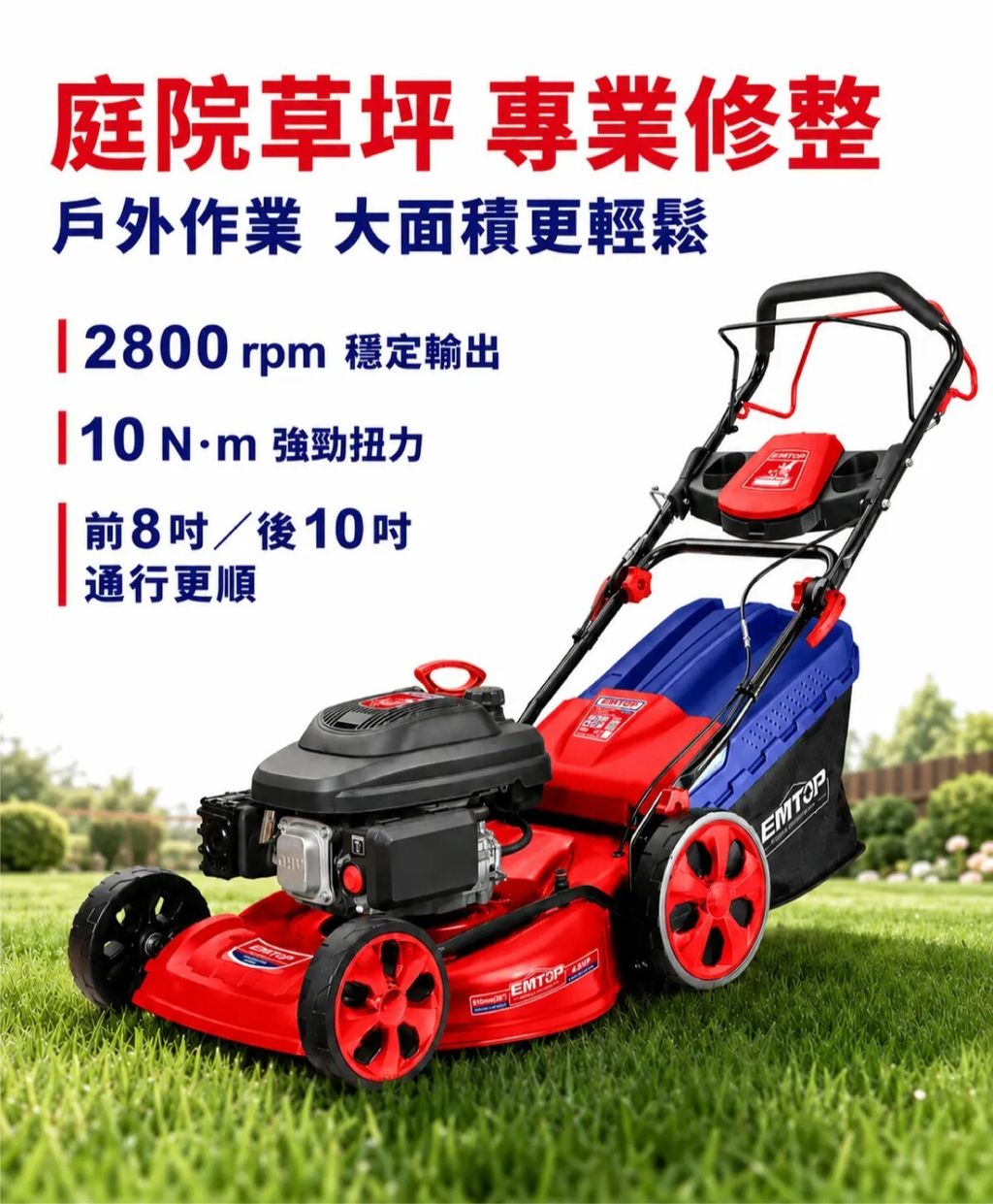 EGLMM2019623