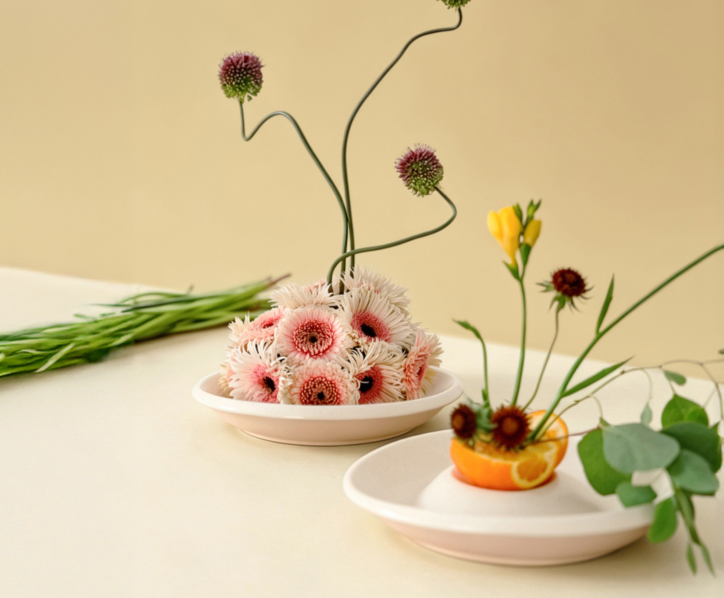 Blooming in Daily Life  | 綻放,在生活之中