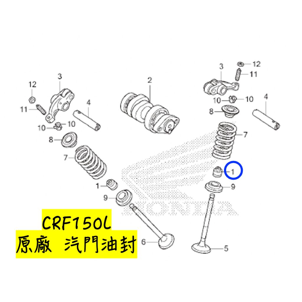 tw-11134207-81ztp-mjgpr3p3lc7912