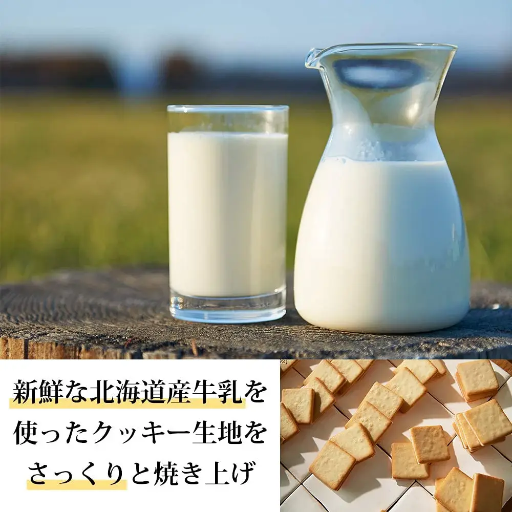 tokyo-milk-cheese-factory-salt-camembert-cookies-10pcs-394530_1080x