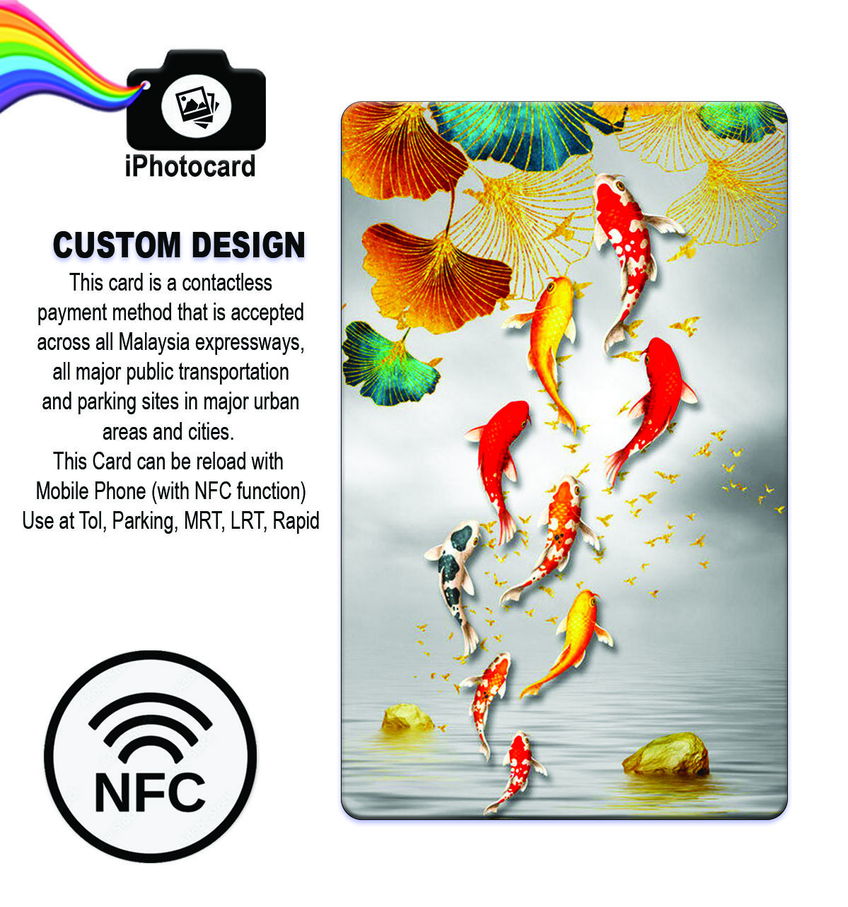 KOI 6 ADV