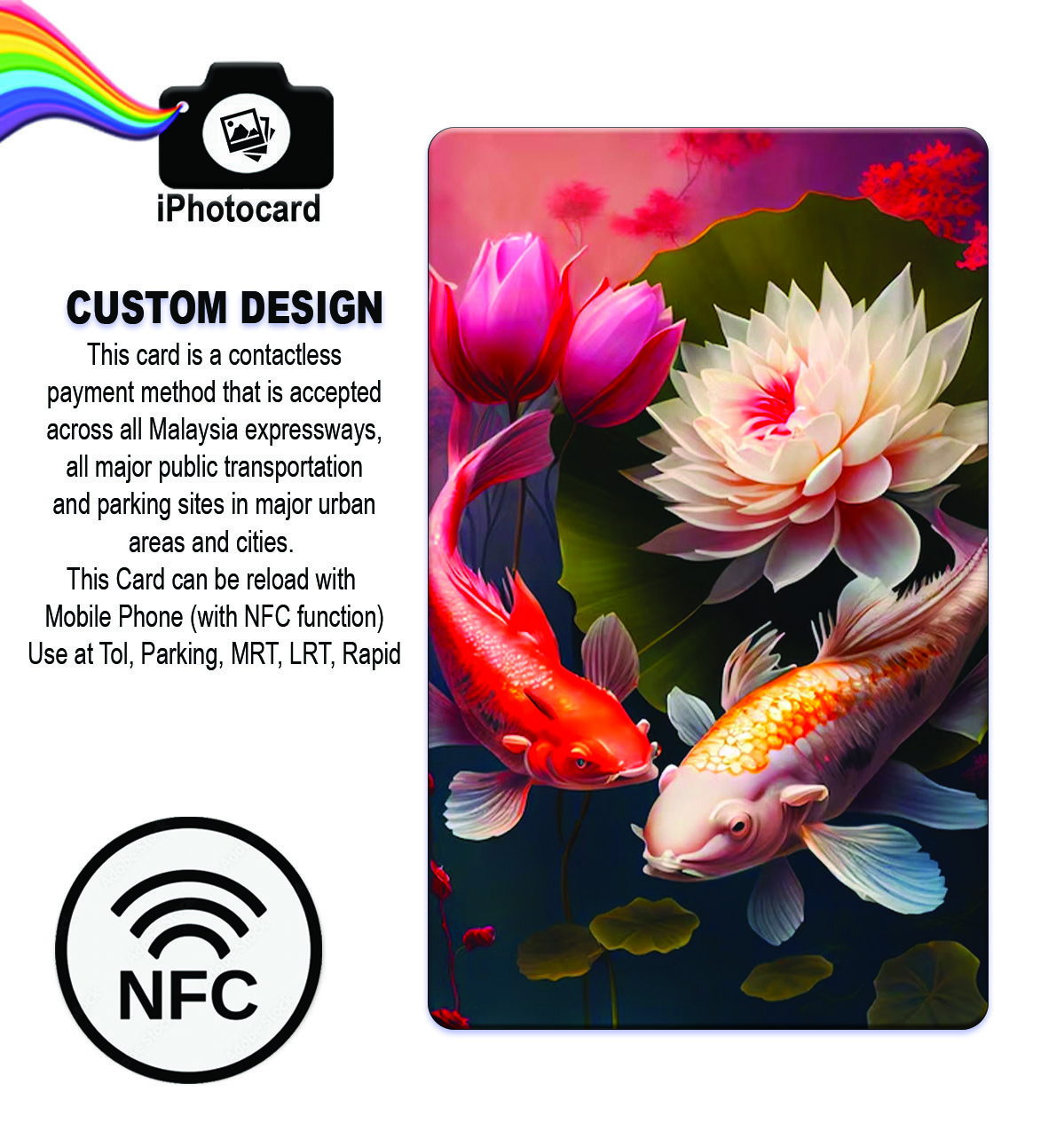 KOI 11 ADV