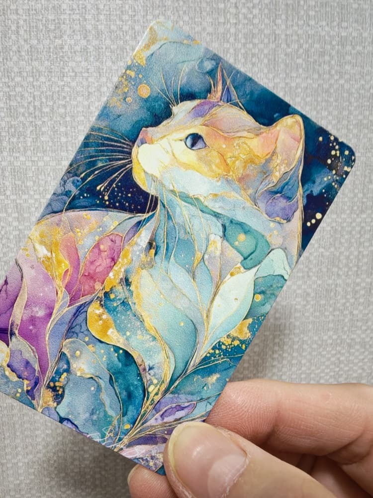 PHOTO CAT