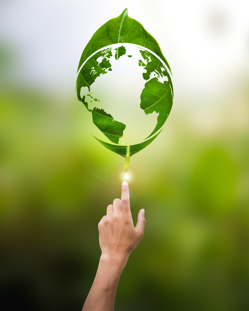 sustainability image