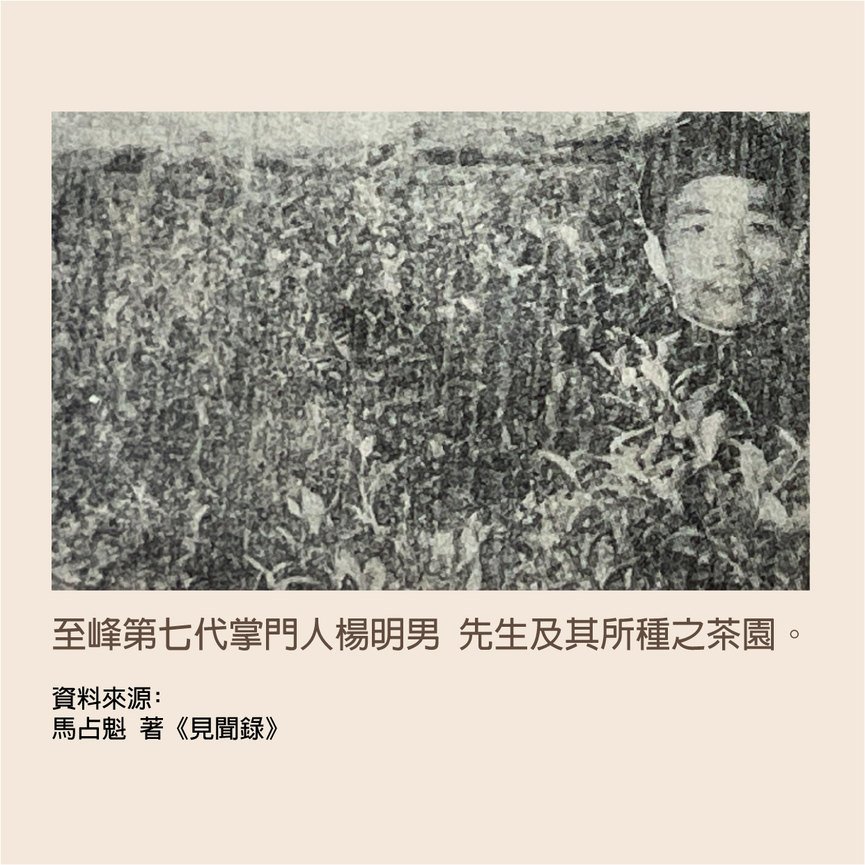 清心明目-06