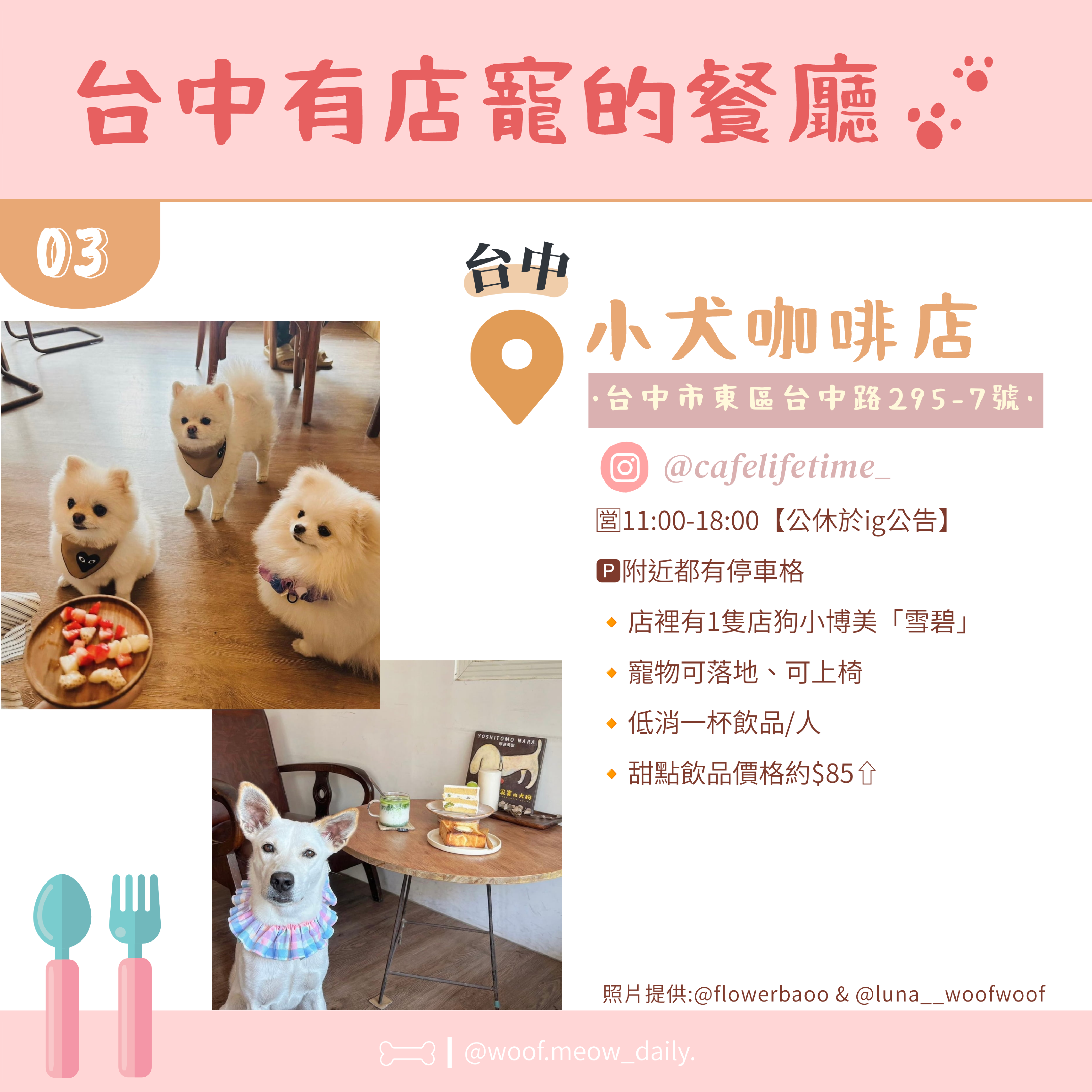8-1寵物懶人包-04