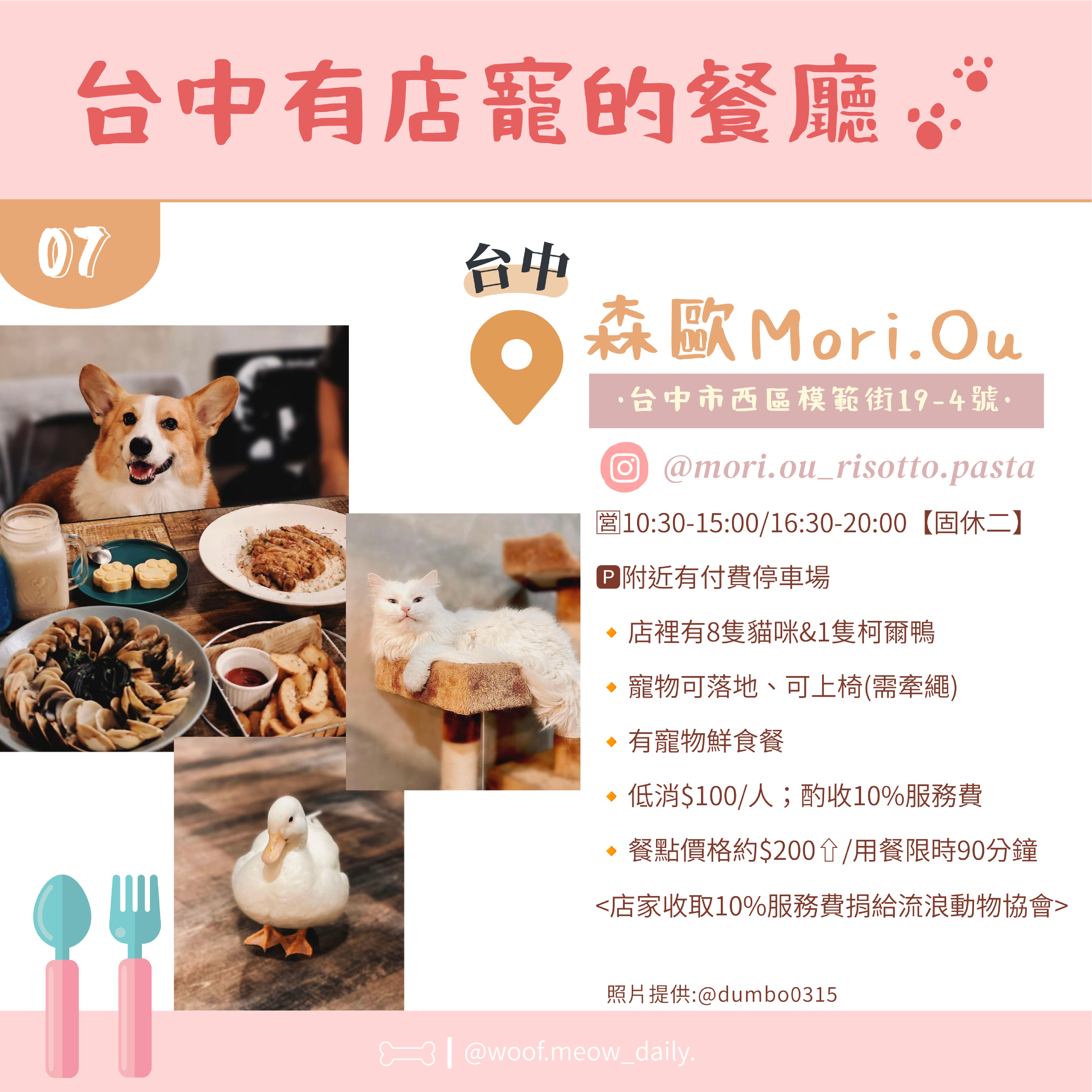 8-1寵物懶人包-08