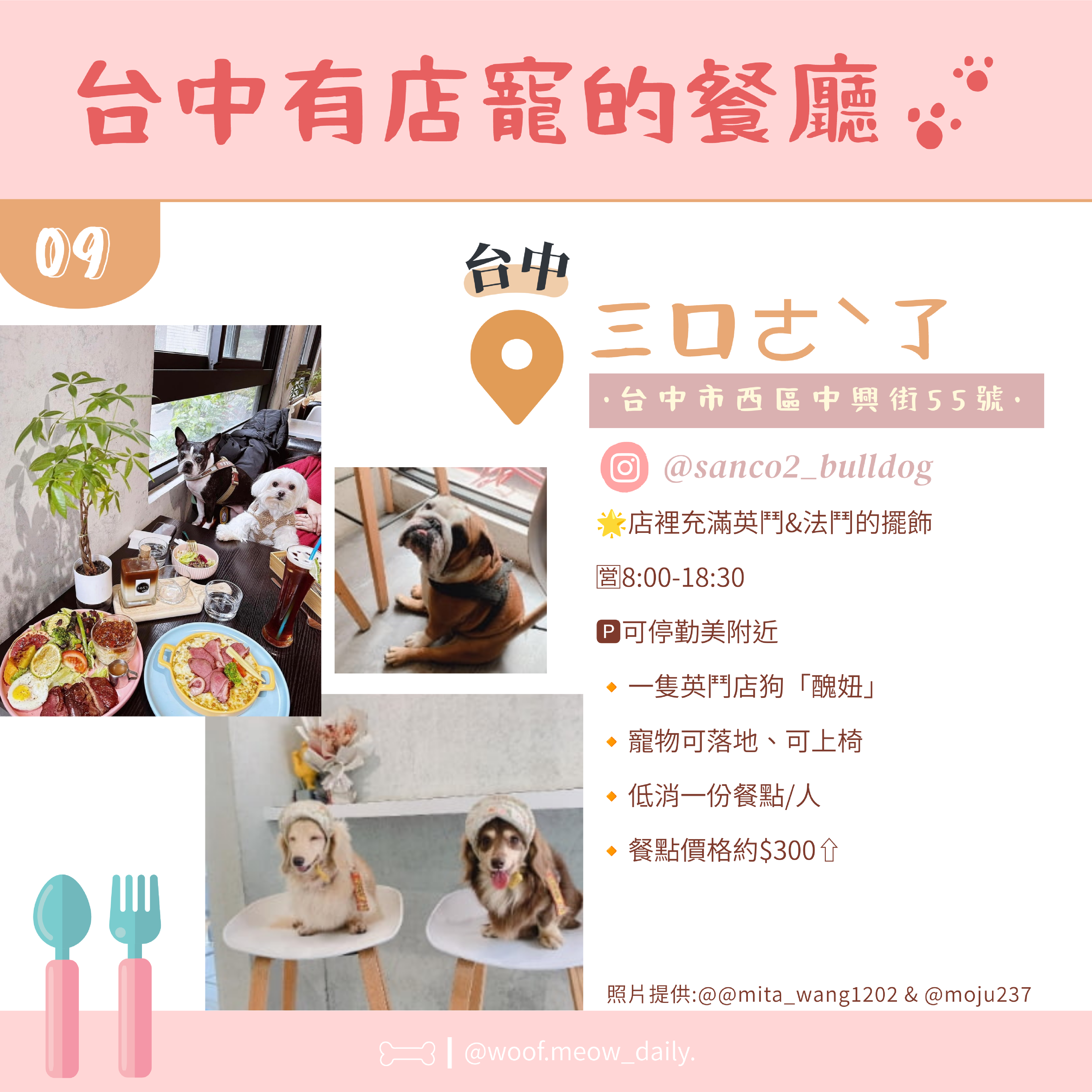 8-1寵物懶人包-10