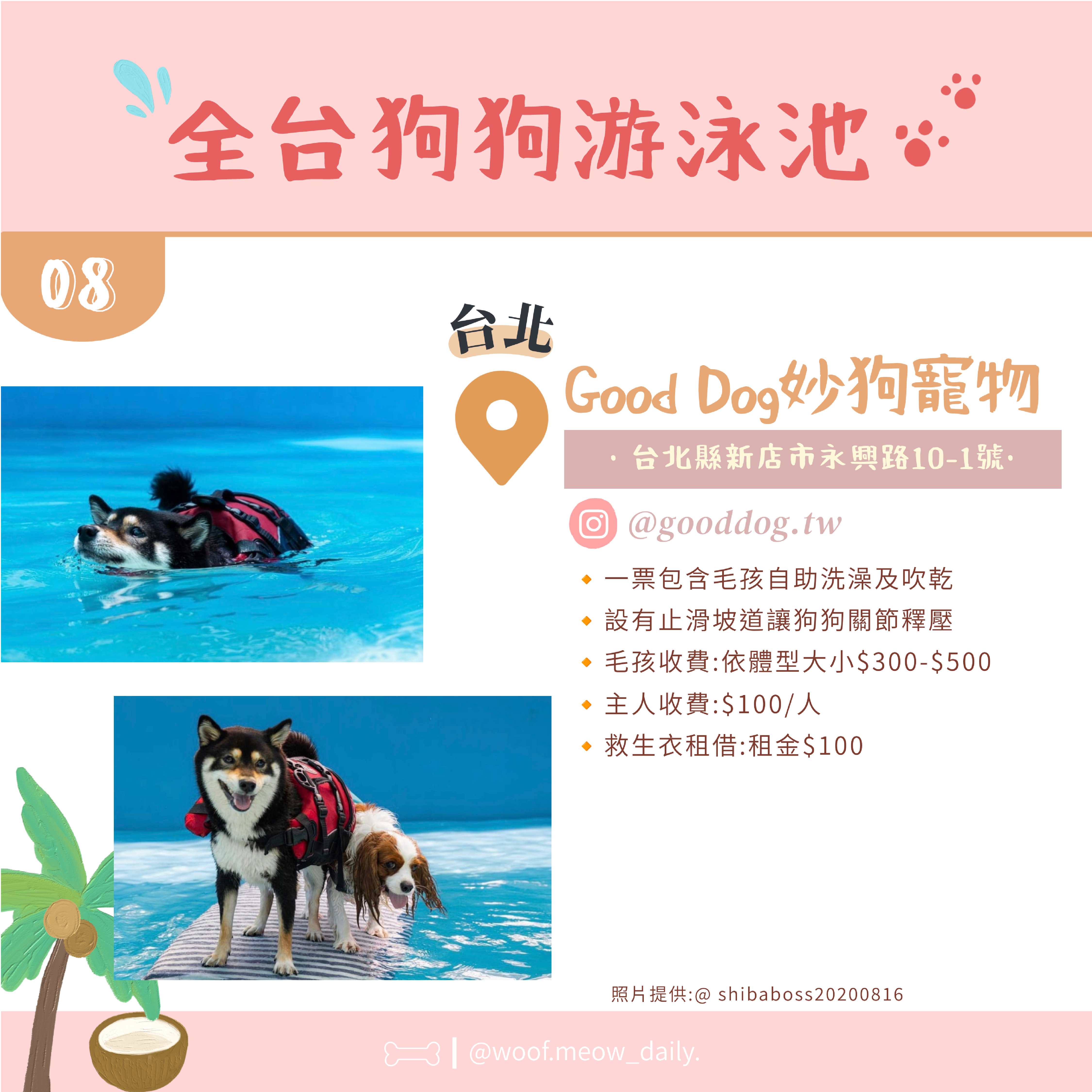 6-26寵物懶人包-09