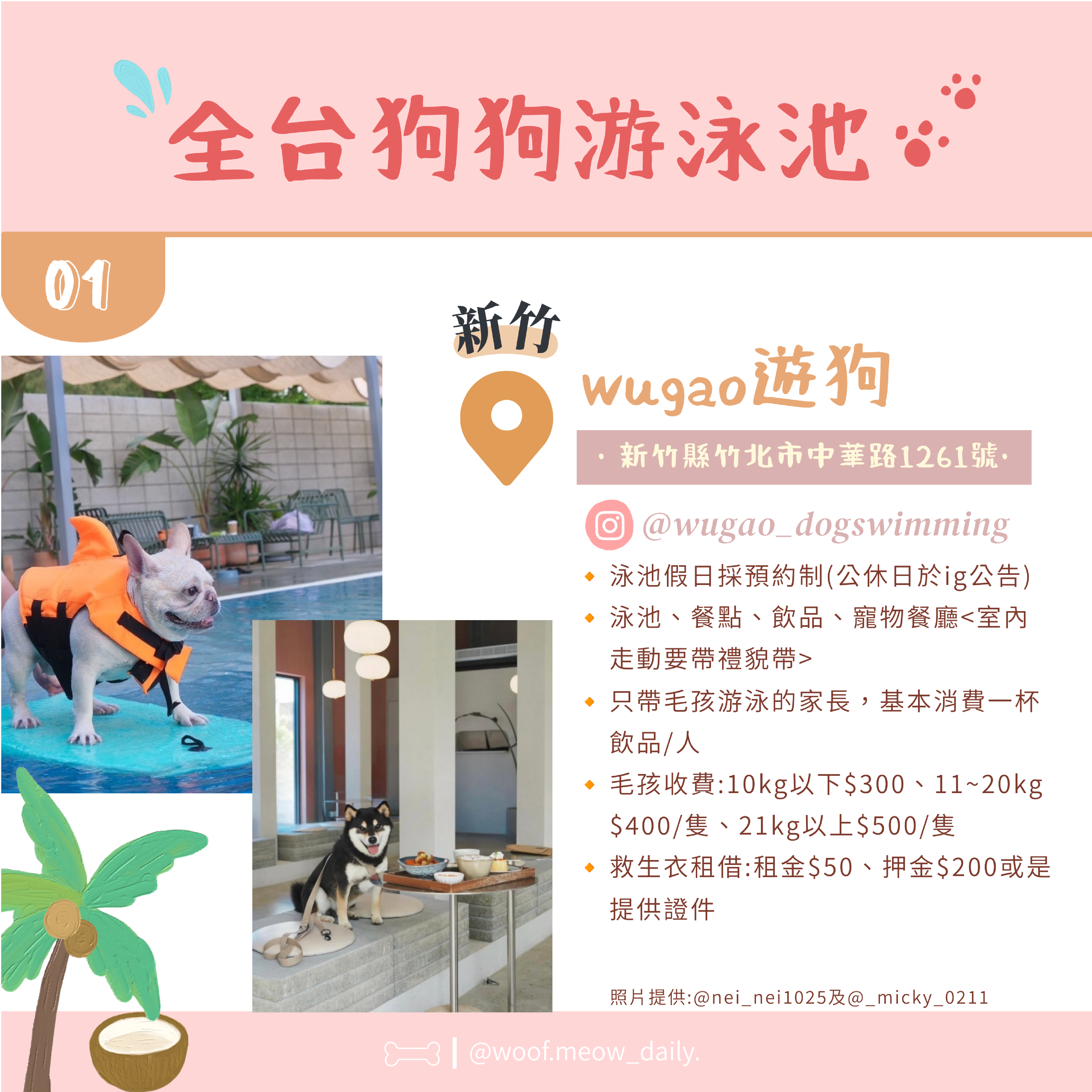 6-26寵物懶人包-02
