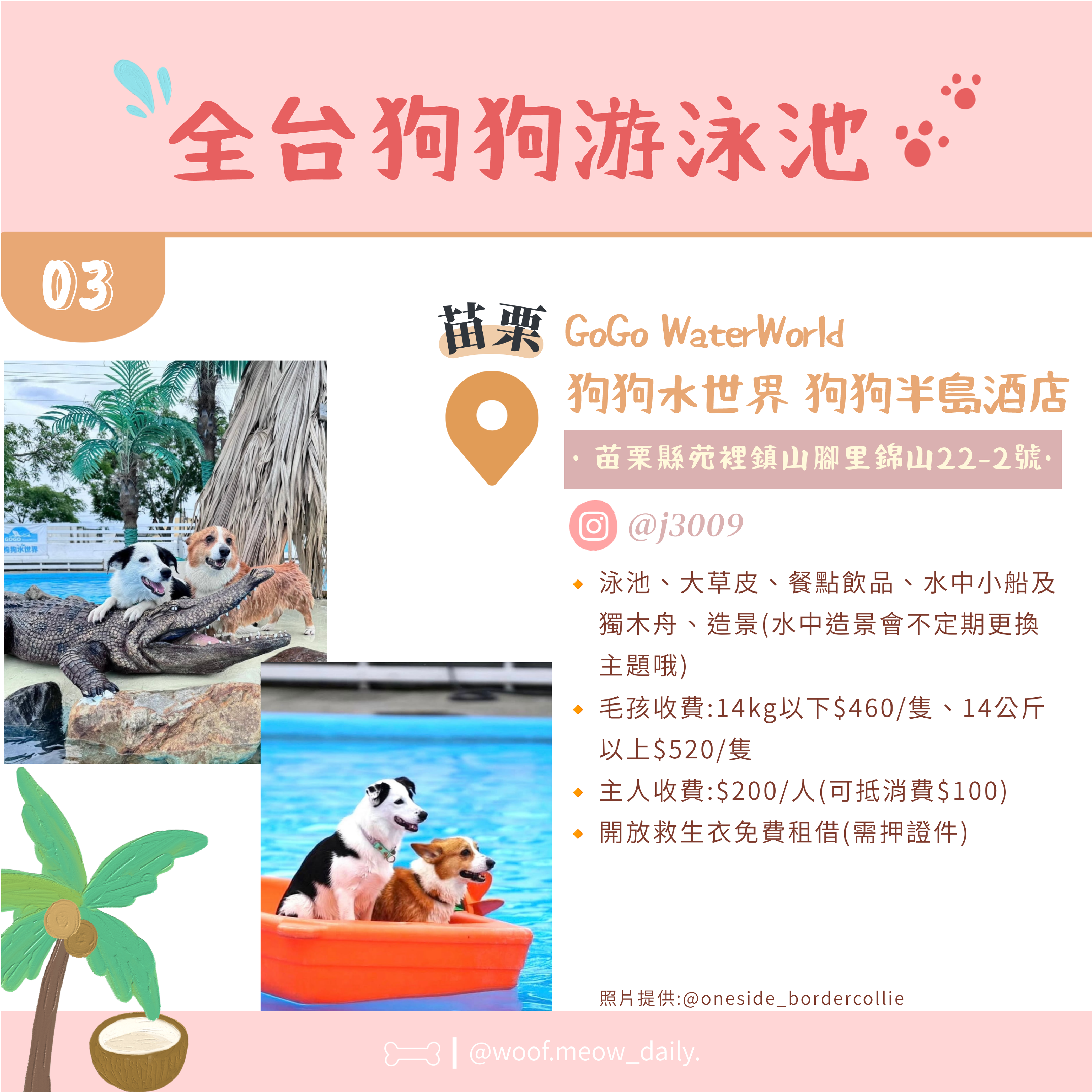 6-26寵物懶人包-04