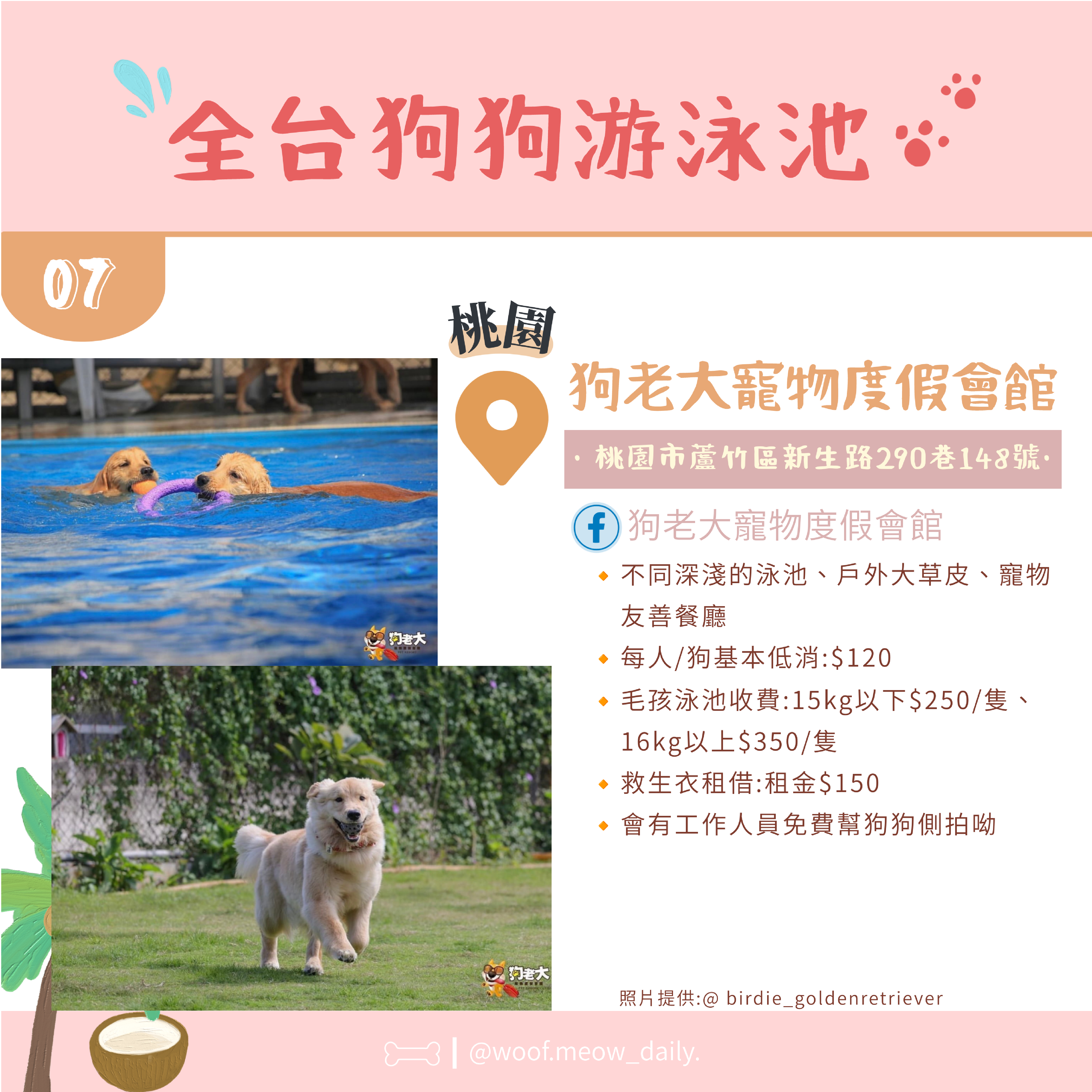 6-26寵物懶人包-08