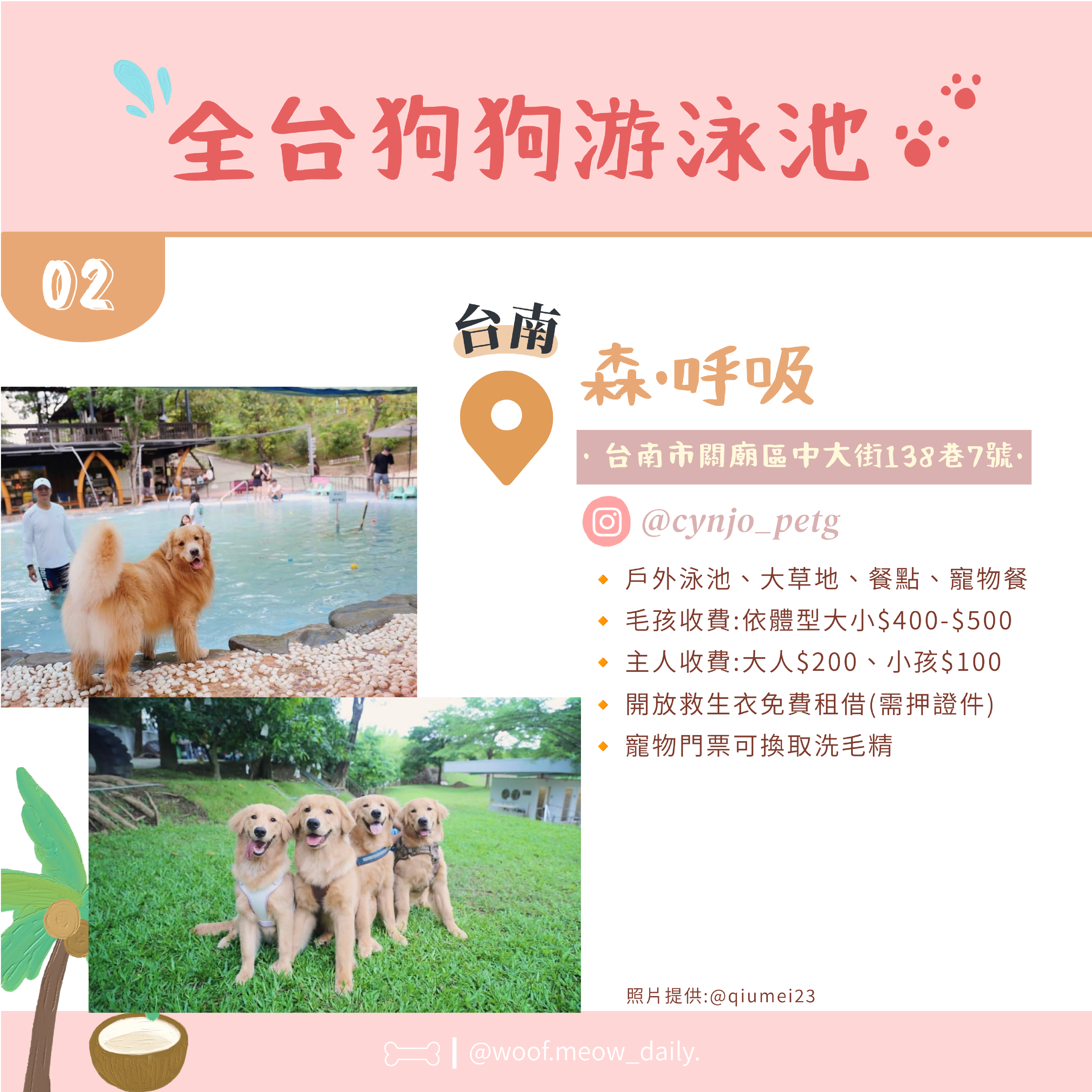 6-26寵物懶人包-03