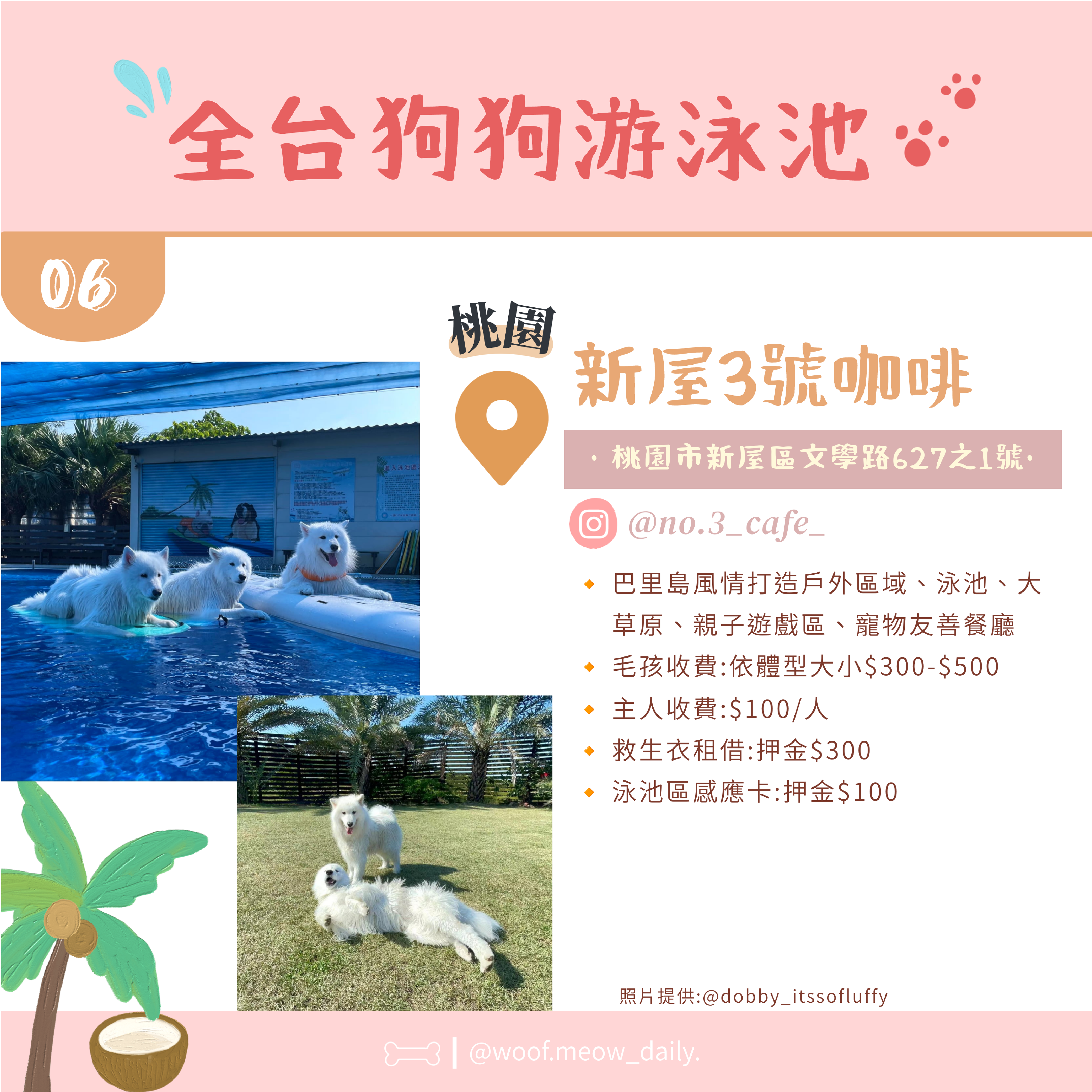 6-26寵物懶人包-07