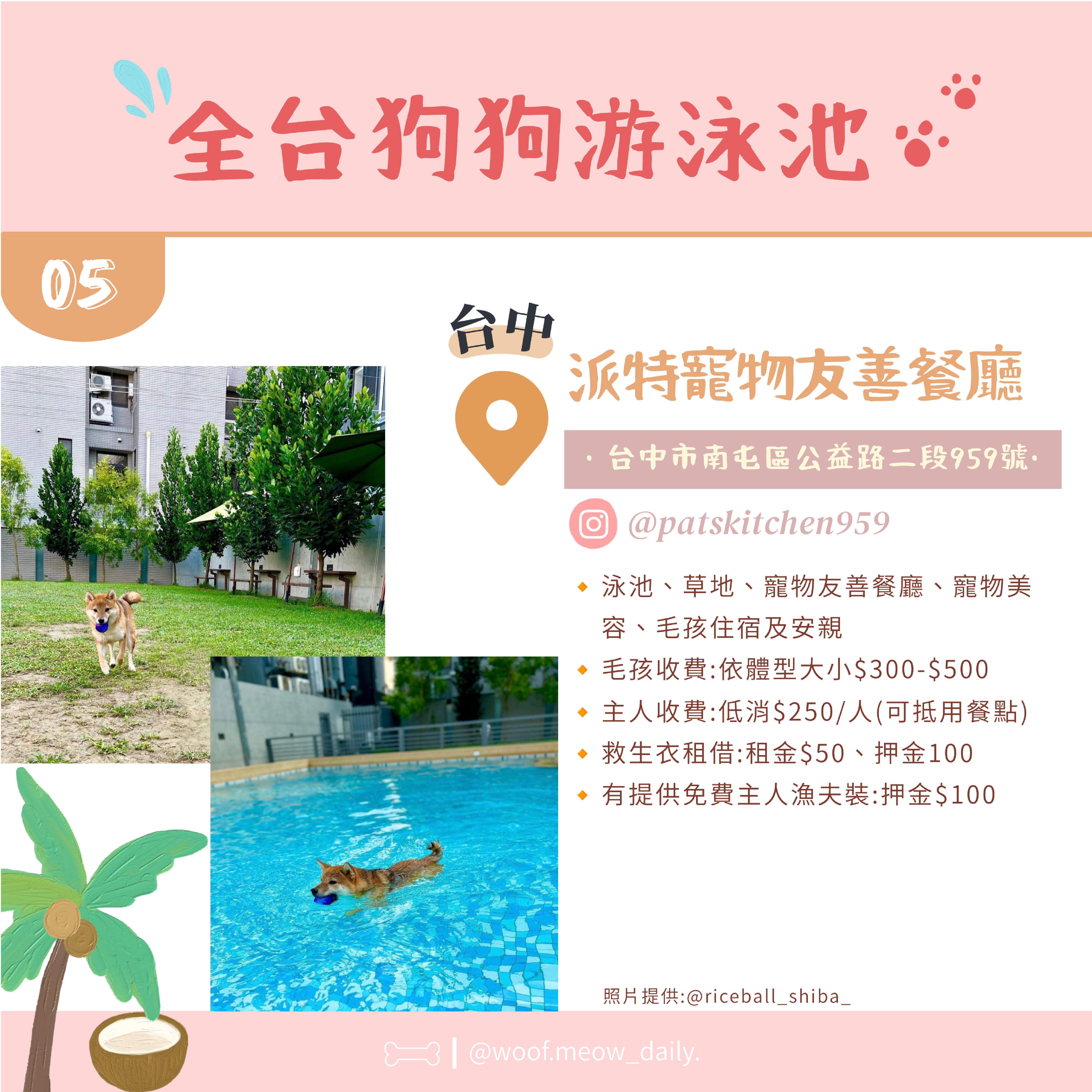6-26寵物懶人包-06