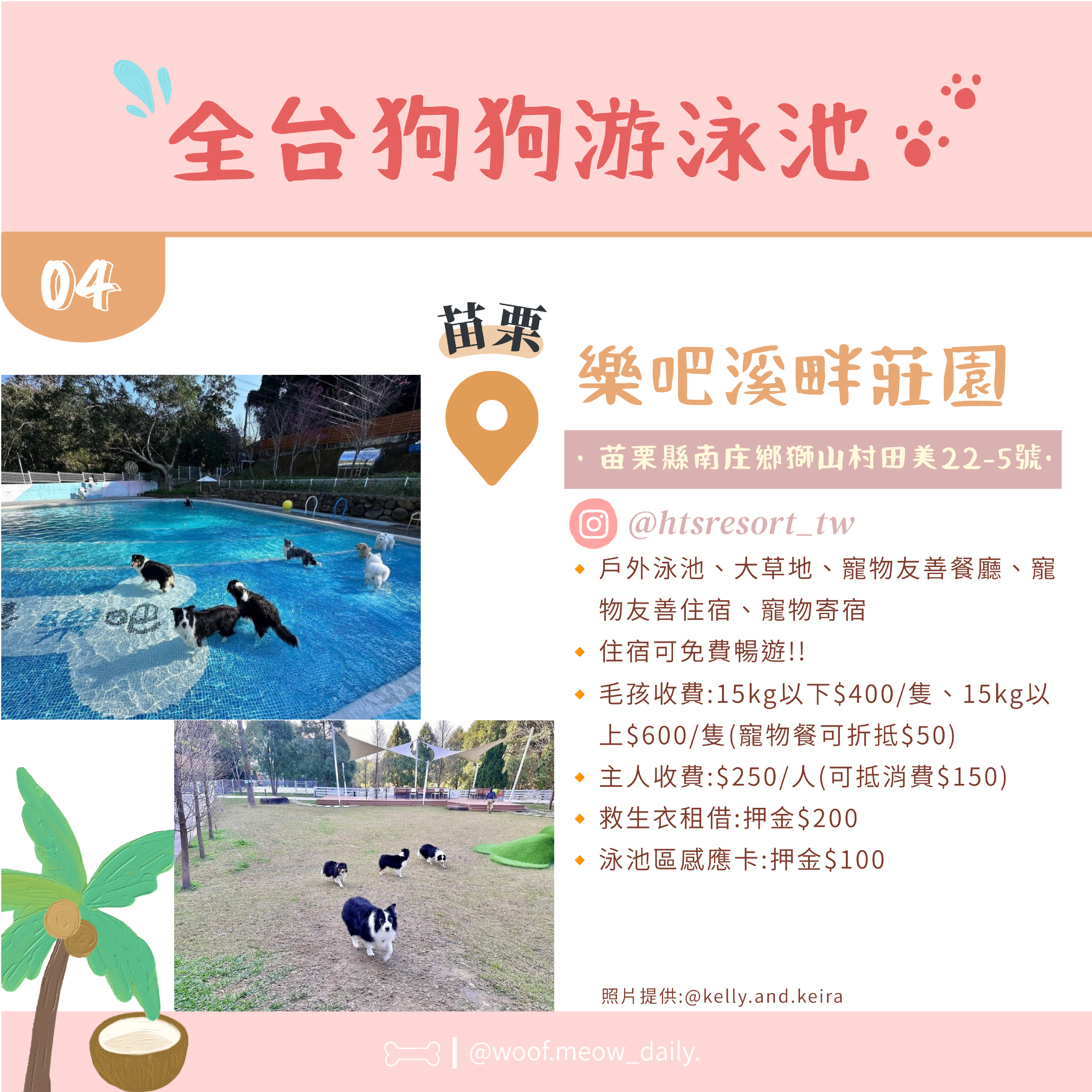 6-26寵物懶人包-05