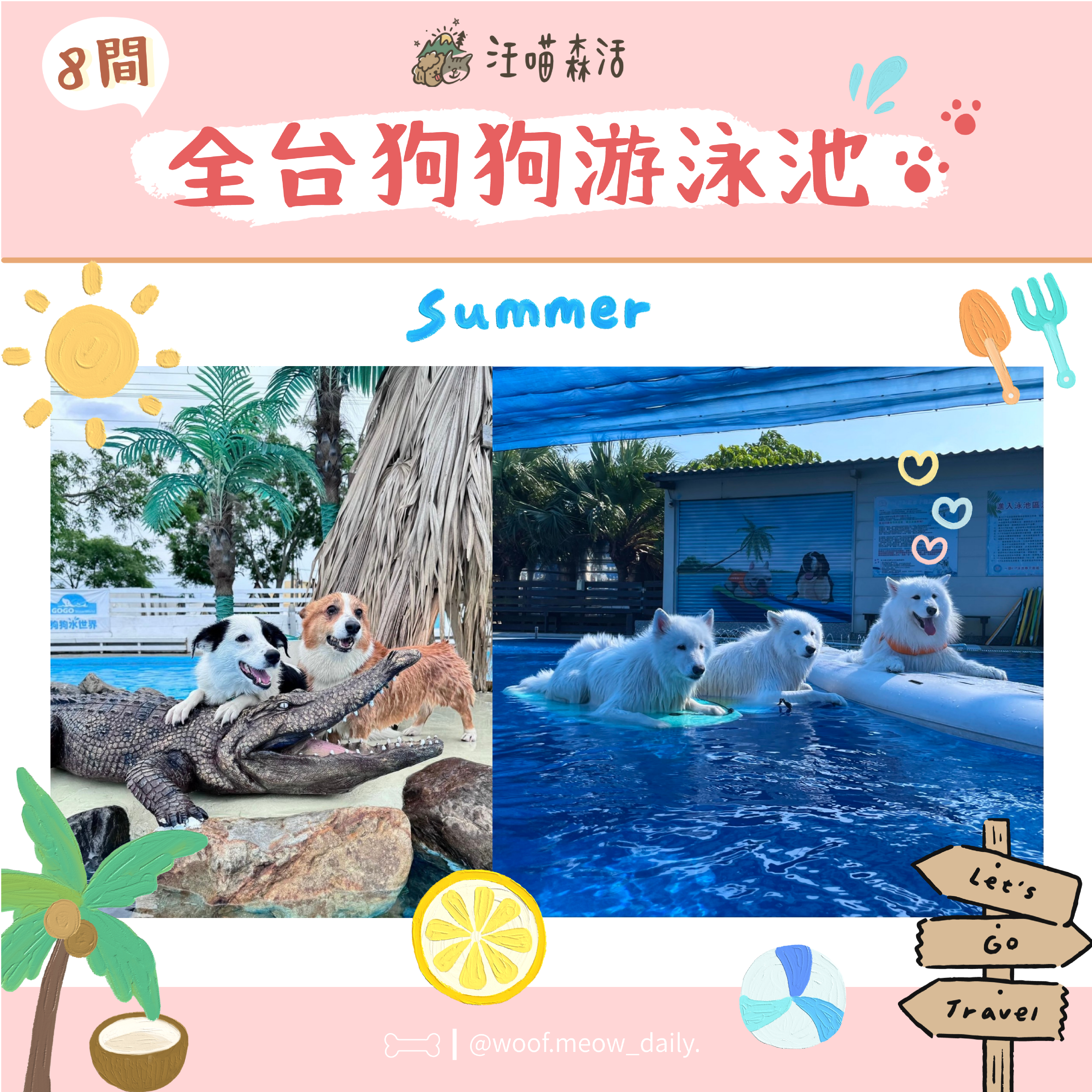 6-26寵物懶人包