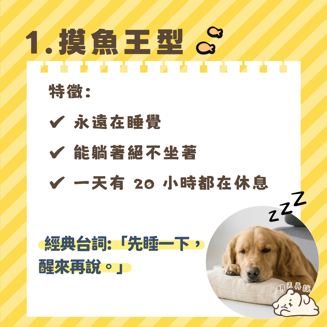 摸魚王型貓咪同事 汪喵森活