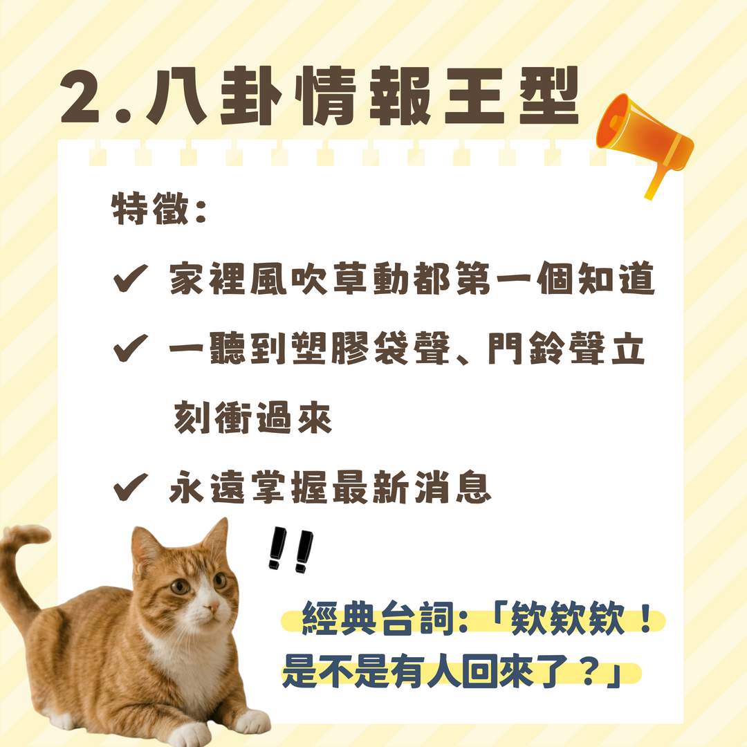 八卦情報王型寵物同事 汪喵森活