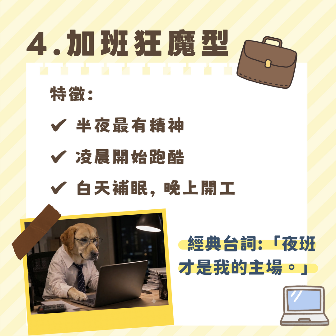 加班狂魔型夜貓子寵物 汪喵森活