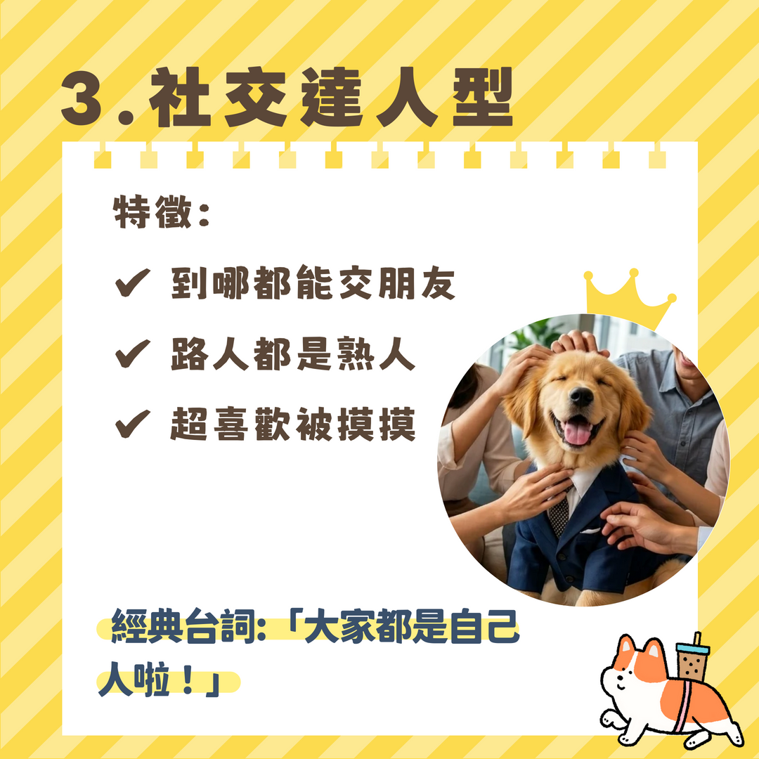 社交達人型狗狗同事 汪喵森活
