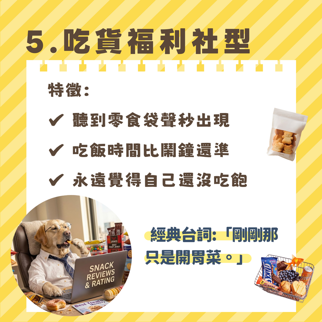 吃貨福利社型討食毛孩 汪喵森活
