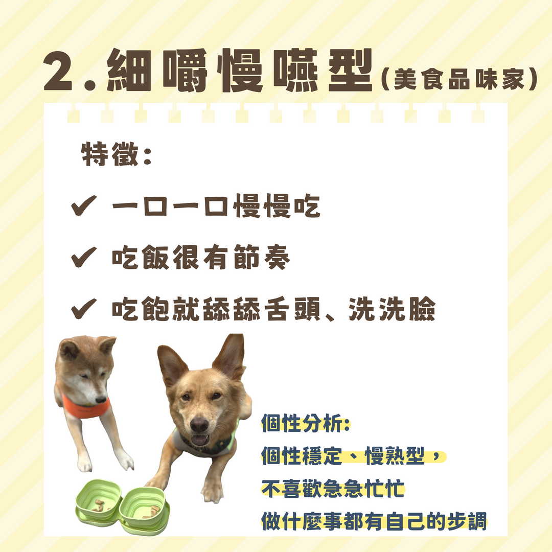 寵物細嚼慢嚥-美食品味家型個性解析
