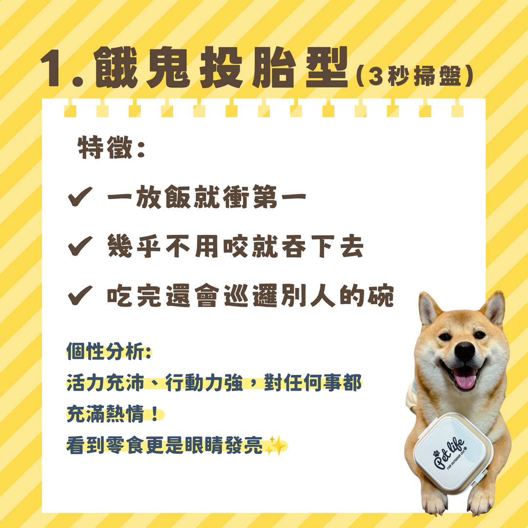 狗狗吃飯很快-餓鬼投胎型個性解析