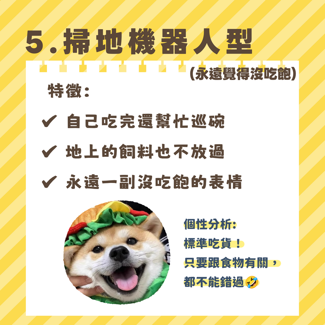 毛孩永遠吃不飽-掃地機器人型吃貨解析