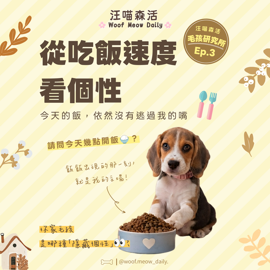 汪喵小學堂-從吃飯速度看貓狗隱藏個性