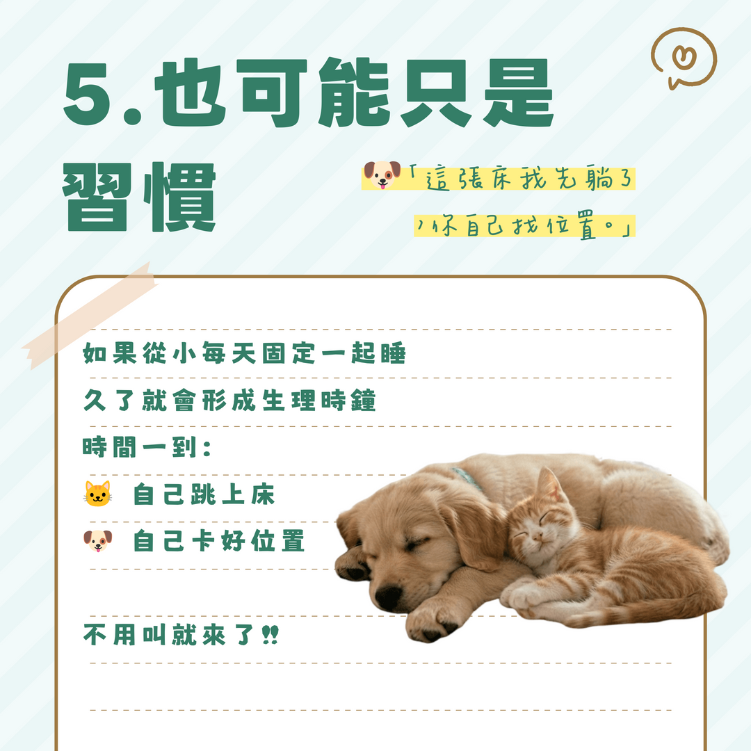 習慣陪睡