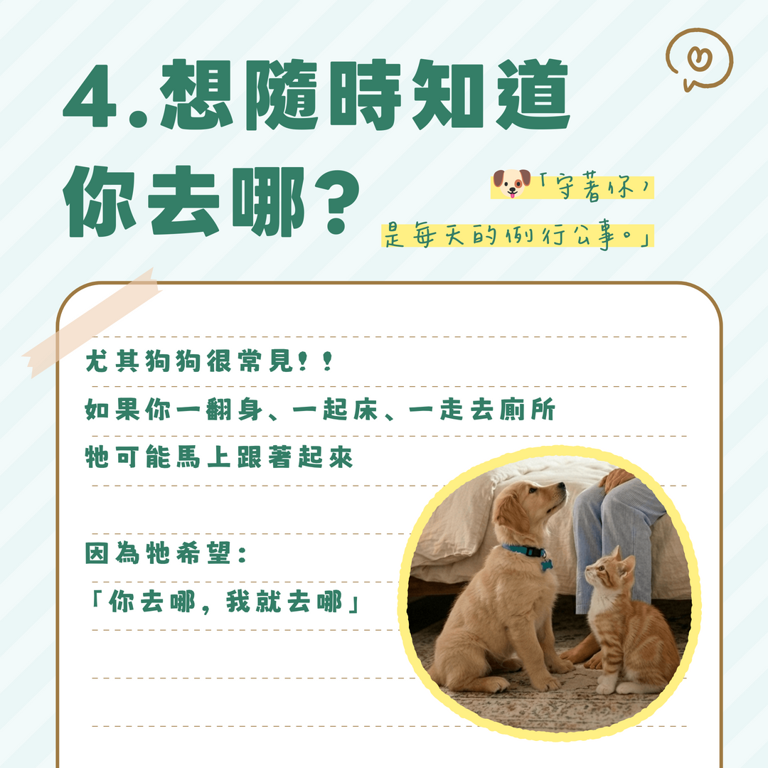 隨時跟著