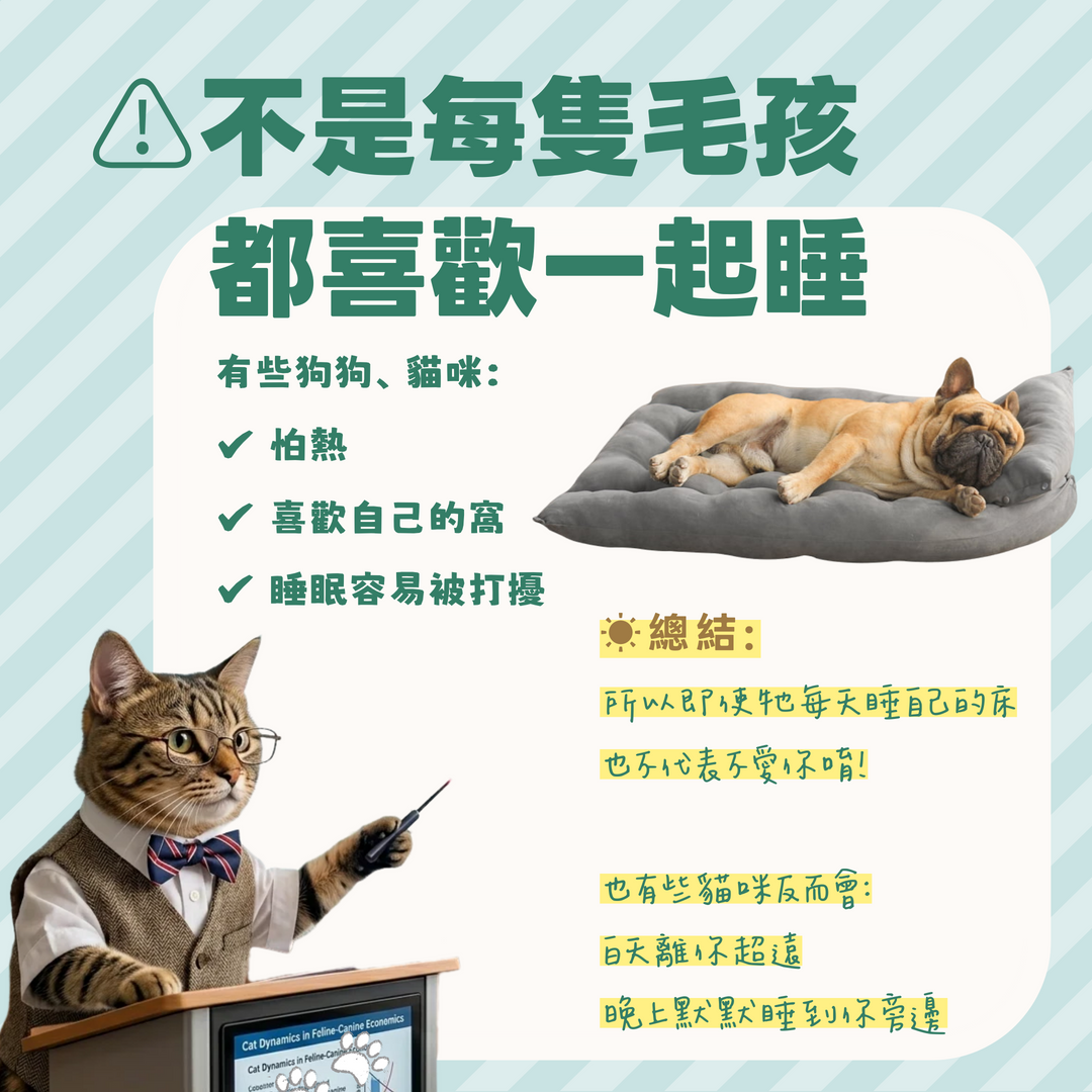 固定位置
