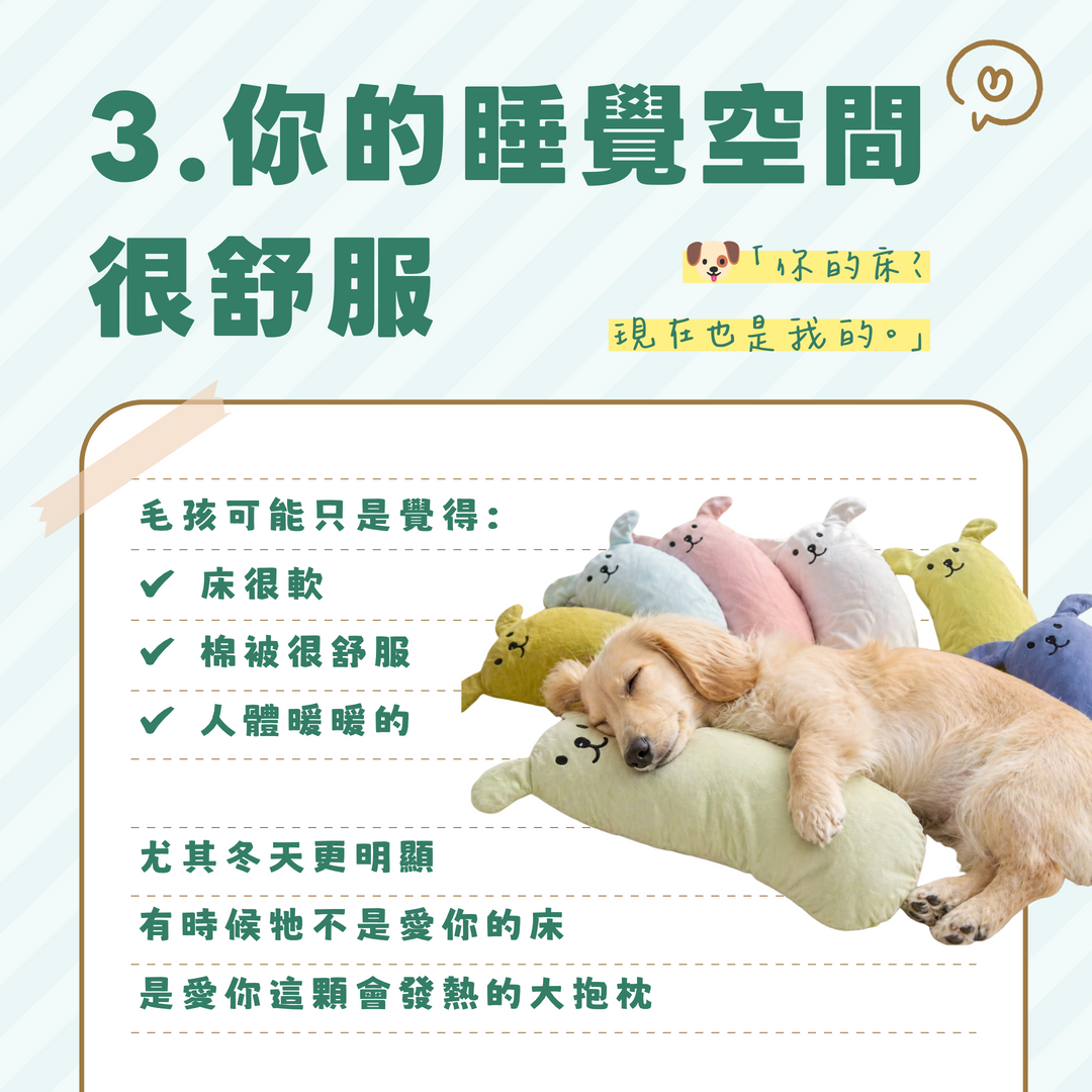 黏人狗狗
