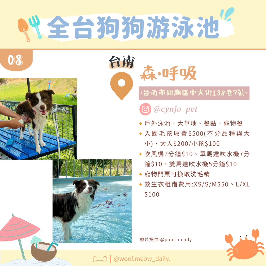 台南森呼吸寵物游泳池