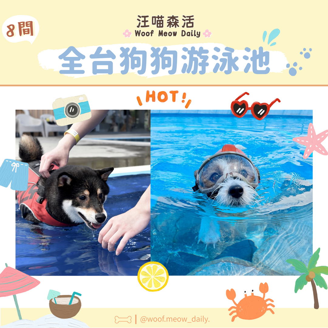 2026全台寵物游泳池推薦