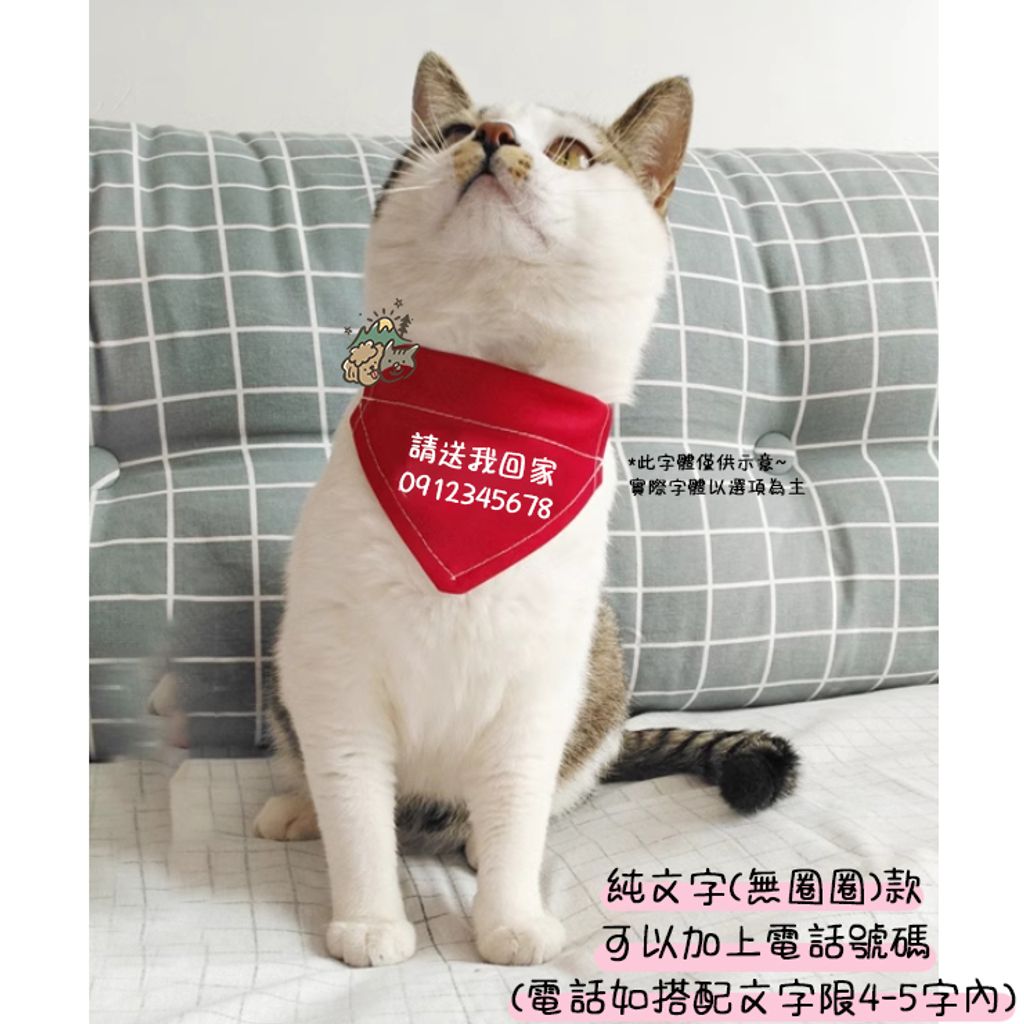 無圈圈 (3)