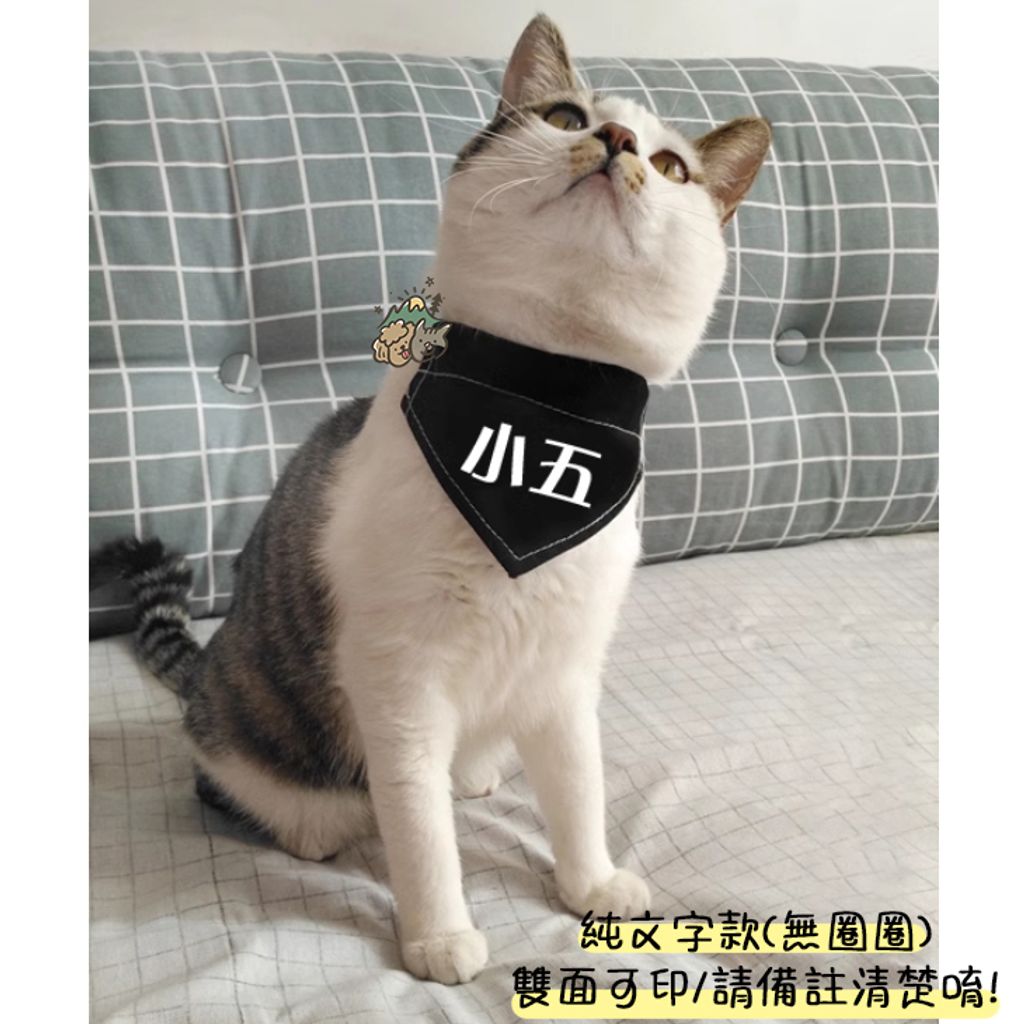 無圈圈 (2)