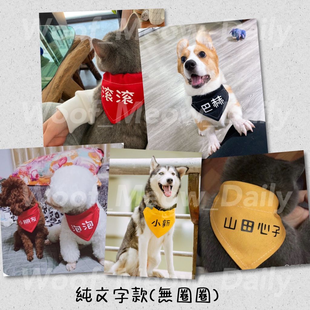 無圈圈 (1)
