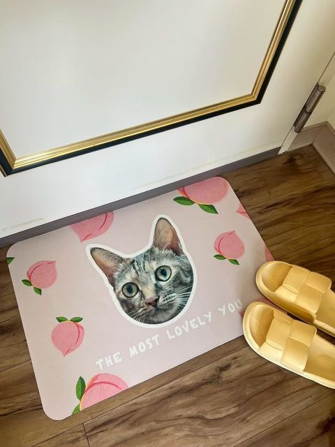 LINE_ALBUM_硅藻土地墊@商品實拍_260526_1