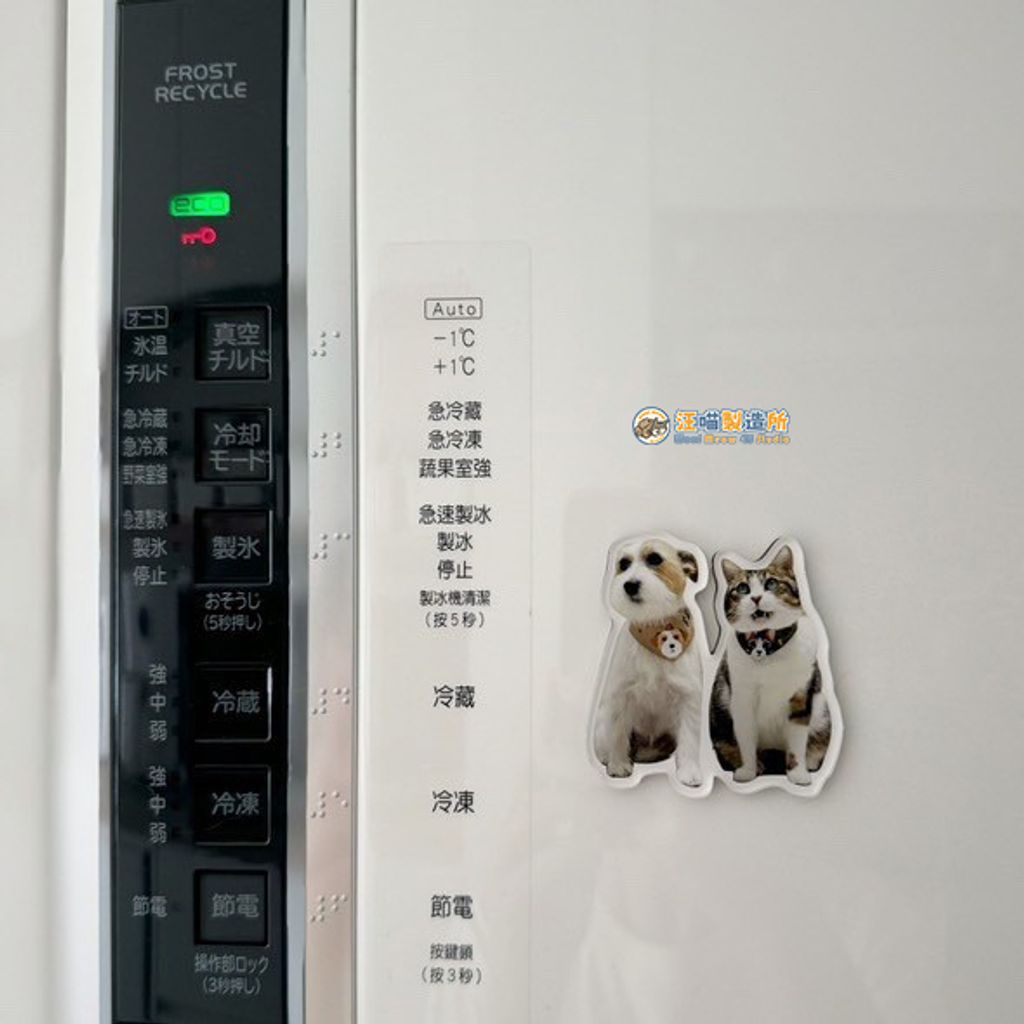 磁鐵 (2)