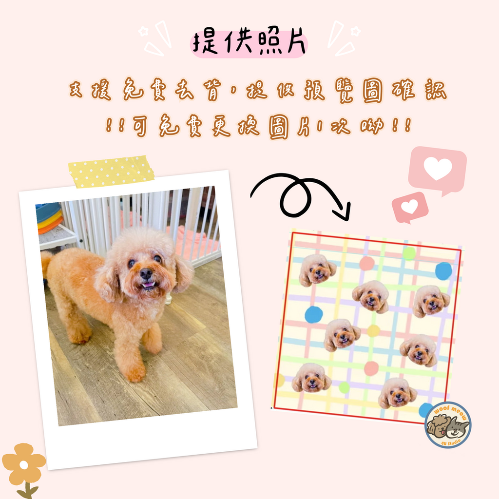 09 (1)