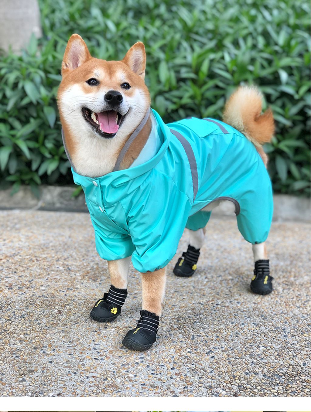 封面 (2)