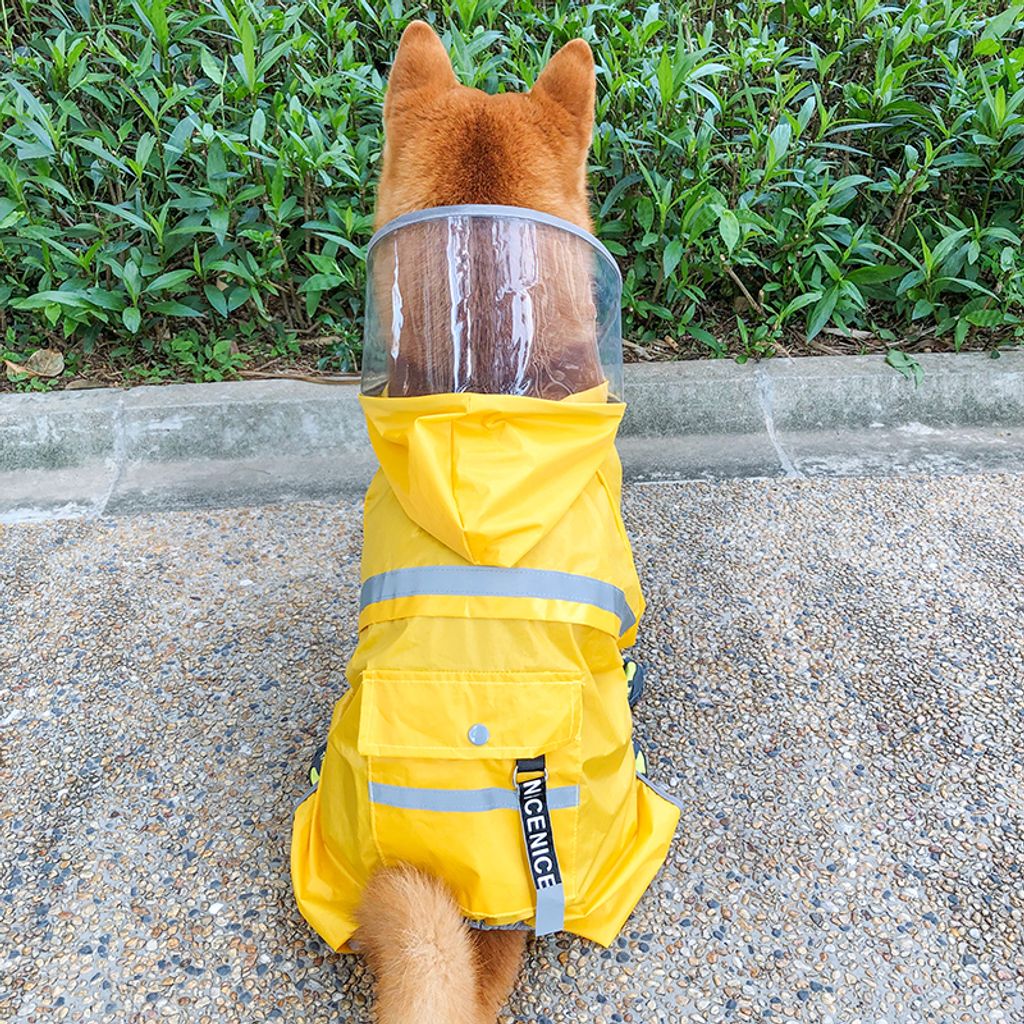 封面 (1)