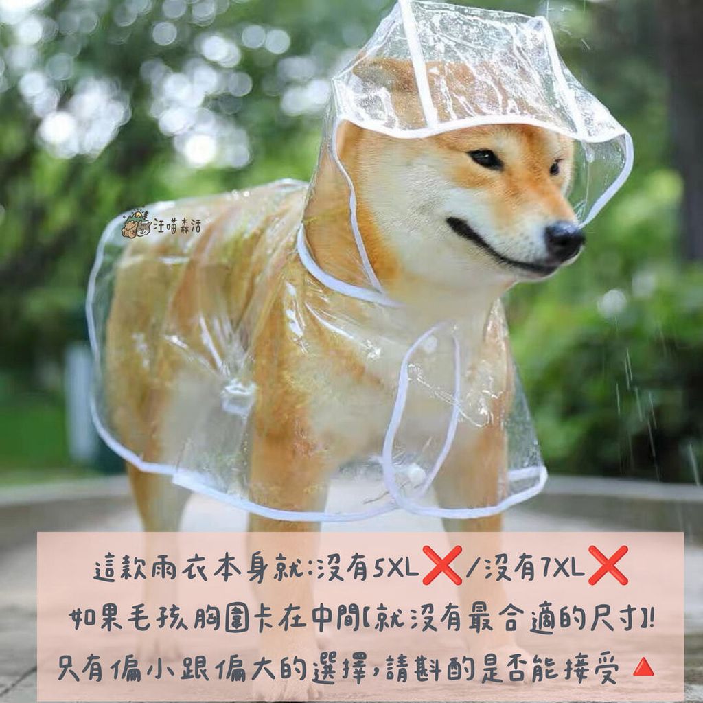 5XL與7XL