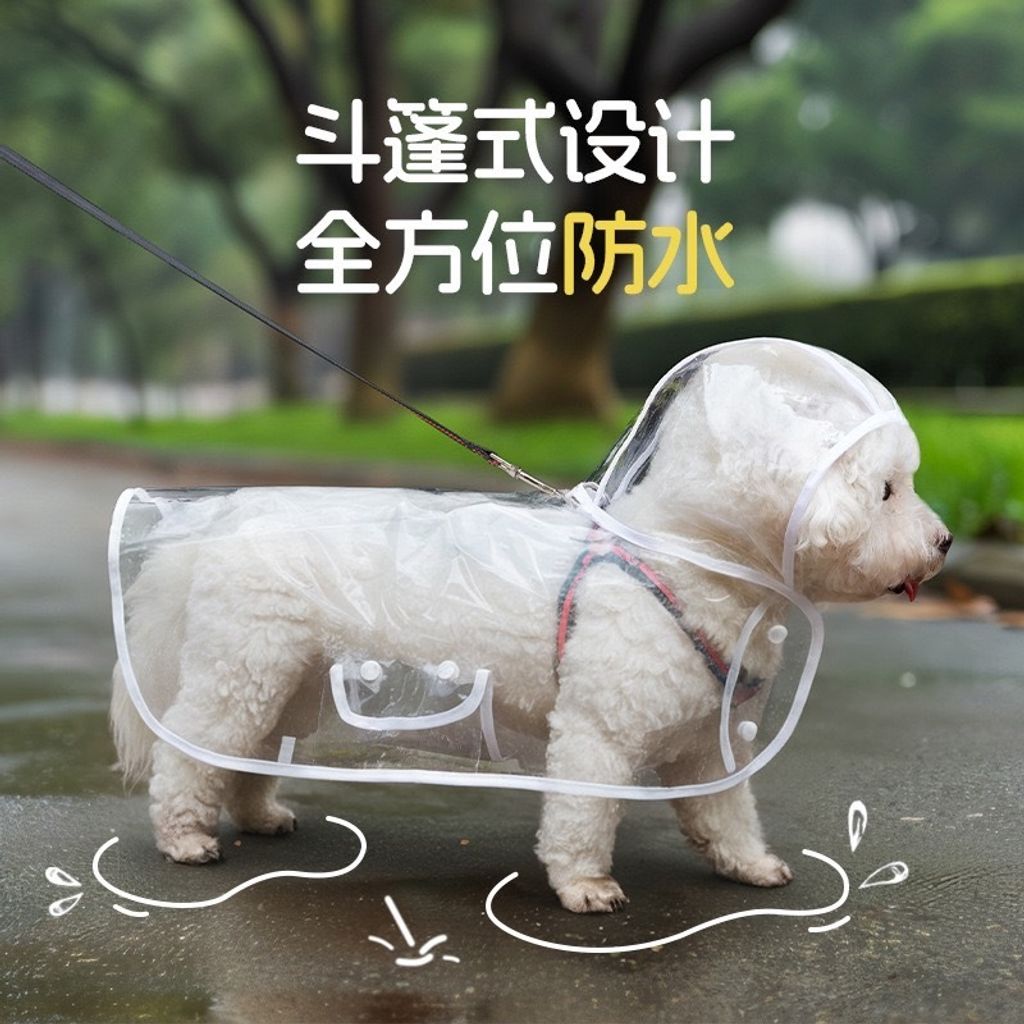 小狗
